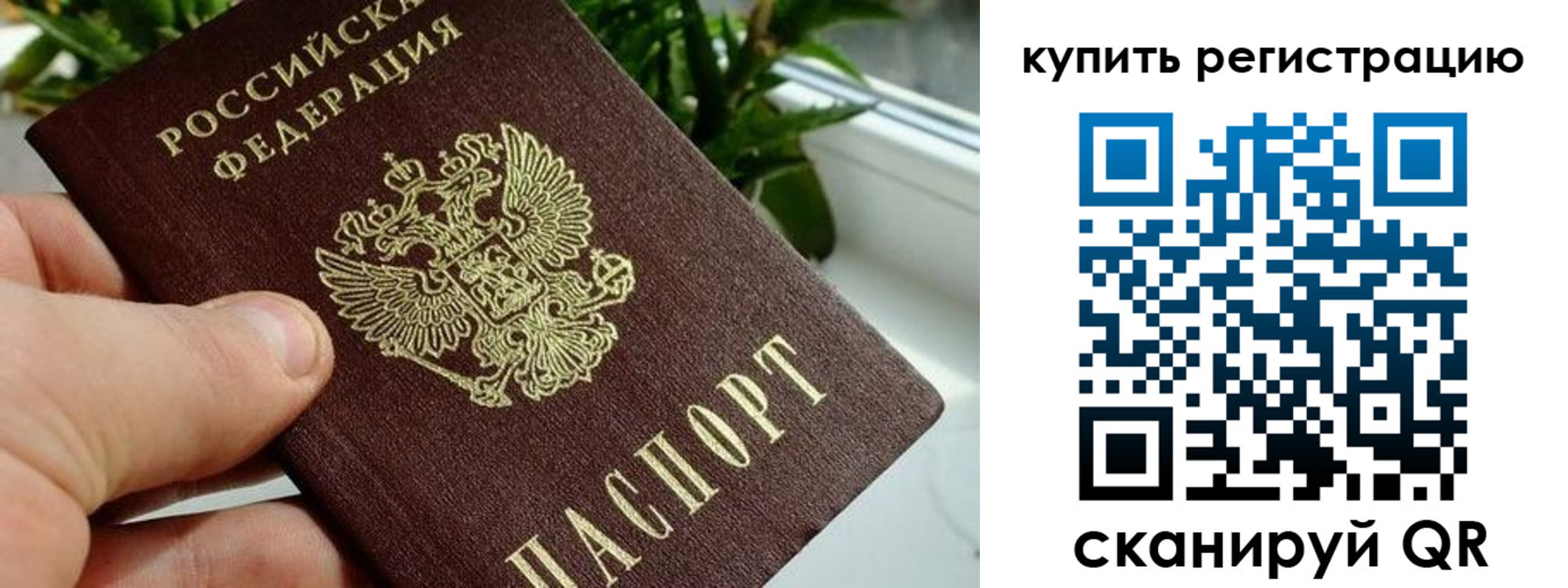 прописка гарантия в Новодвинске